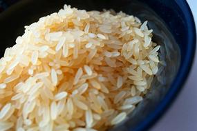 Asian Rice Bowl