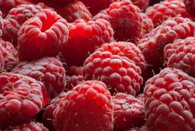 Red Raspberry berries