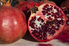 Pomegranate Red Fruits