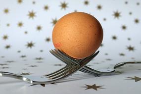 Fork Egg Cutlery