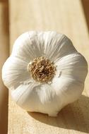 white head of garlic, close-up