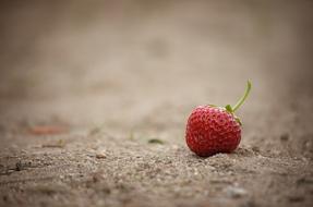 Strawberry Fruit Fruits