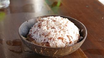 Rice Coconut Eat