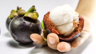 Mangosteen Fruit White