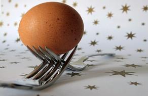 Fork Egg Cutlery