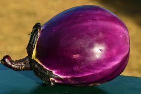 Close-up of the shiny, violet eggplant, with the twig, at blurred background