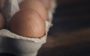 brown eggs in a cardboard box