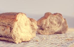 Bread Fresh Bakery