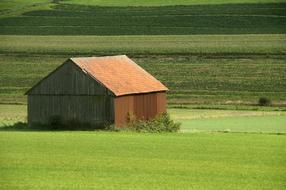 Barn Grass Farm