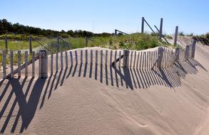 Cape Cod Provincetown Dune Grass