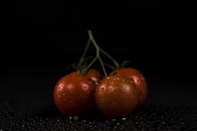 dark red tomatoes in darkness