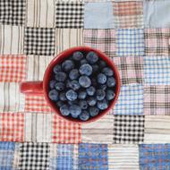 Blueberries fruits in cup