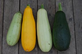 Zucchini Vegetable Closeup