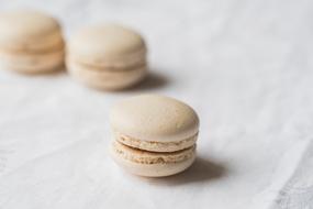 Macaroon Food Cookie