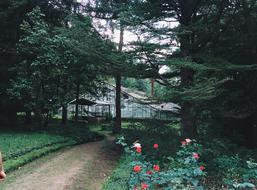 Park Greenhouse Garden