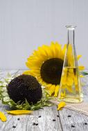 Oil Sunflower Cooking