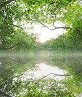 Landscape Luxuriant Fine Weather