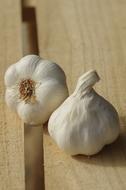 Garlic White Grown