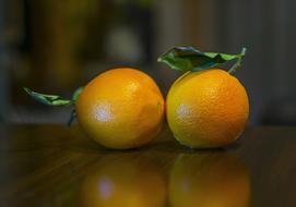 Oranges Citrus Fruit