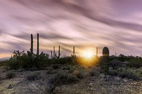 Tagsnature Arizona Sky