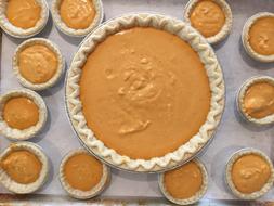 autumn pumpkin pies