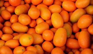 Fruit Orange Kumquat Left