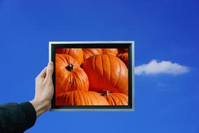 Orange Pumpkin Fruits picture