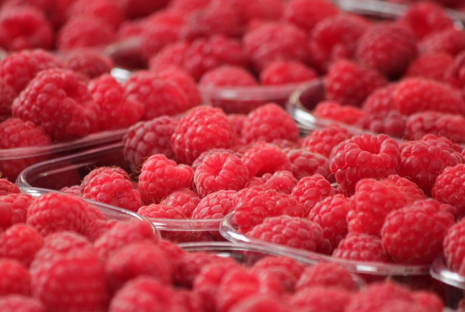 Raspberries Berries for sale close-up
