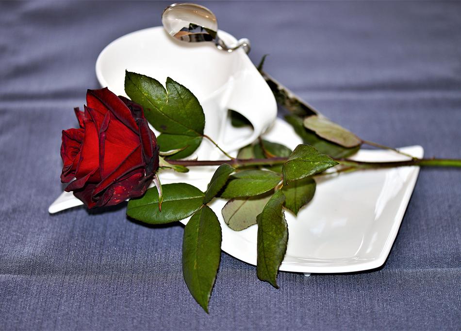red rose on a coffee pair
