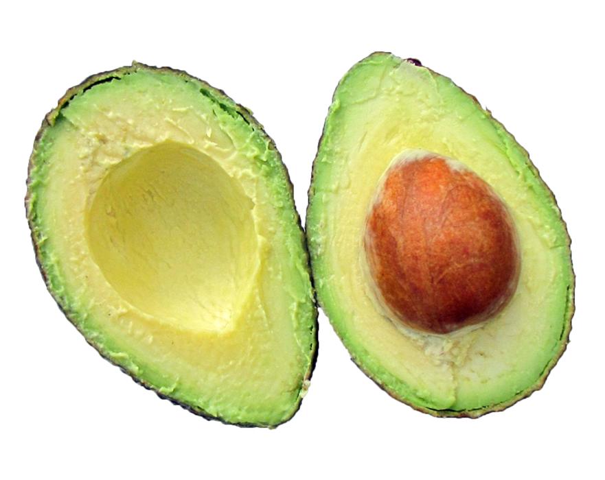 avocado fruit on white background