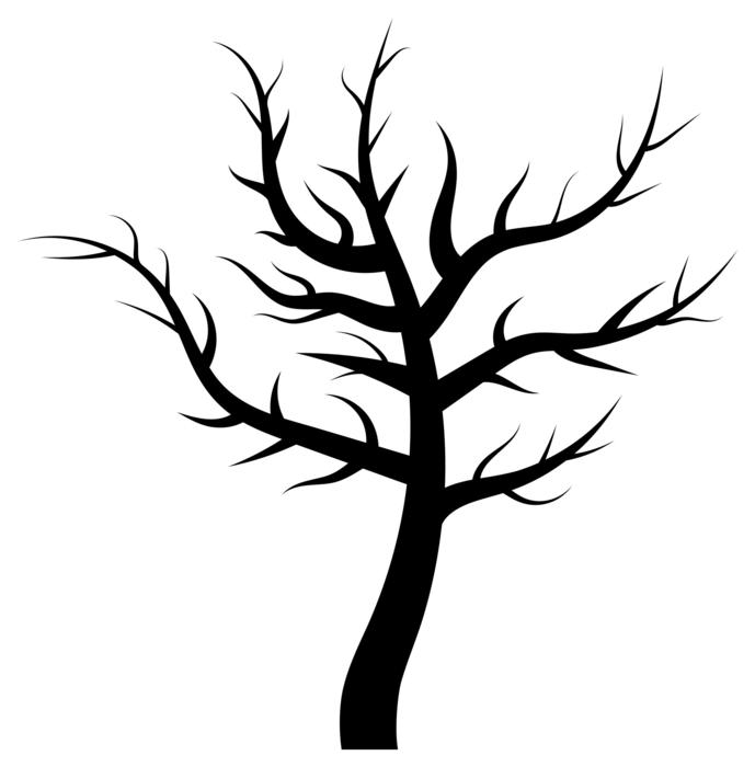 tree plant dead as an illustration