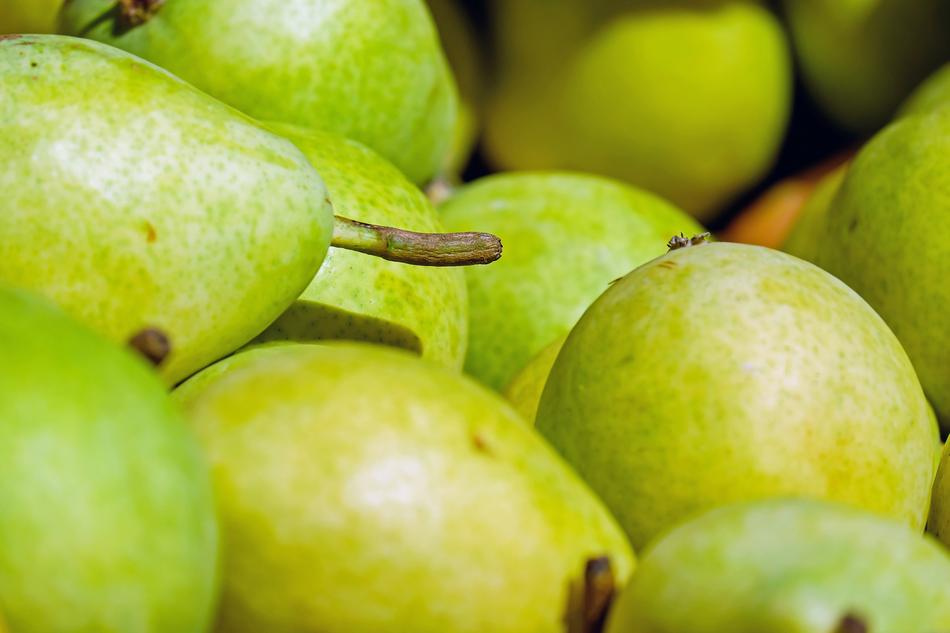 macro photo of green pears
