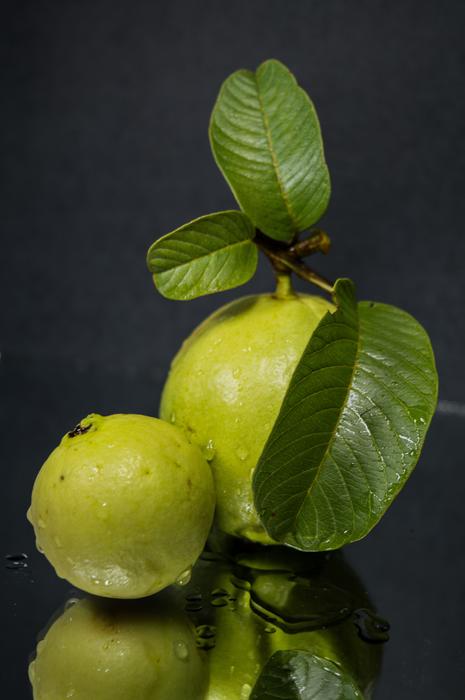 Close-up of the beautiful, green and yellow guava fruits with green leaves