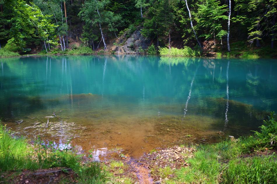 pond with clear water in forest at summer