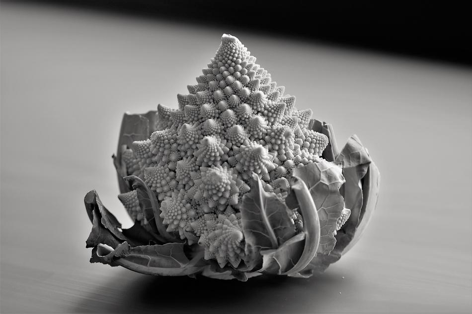 Romanesco Vegetables in black and white blurred background