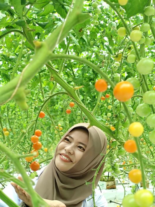 girls Cherry Tomatoes