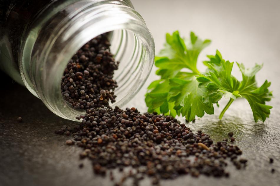 sprinkled poppy seeds, a transparent jar and parsley leaves on the table