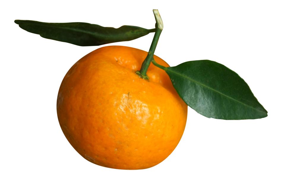 Vietnamese mandarin on white background