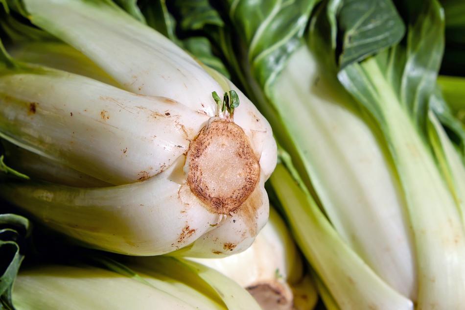 vegetables with green leaves