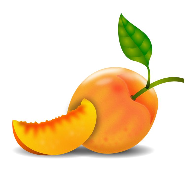 Beautiful and colorful peach with green leaf, at white background, clipart
