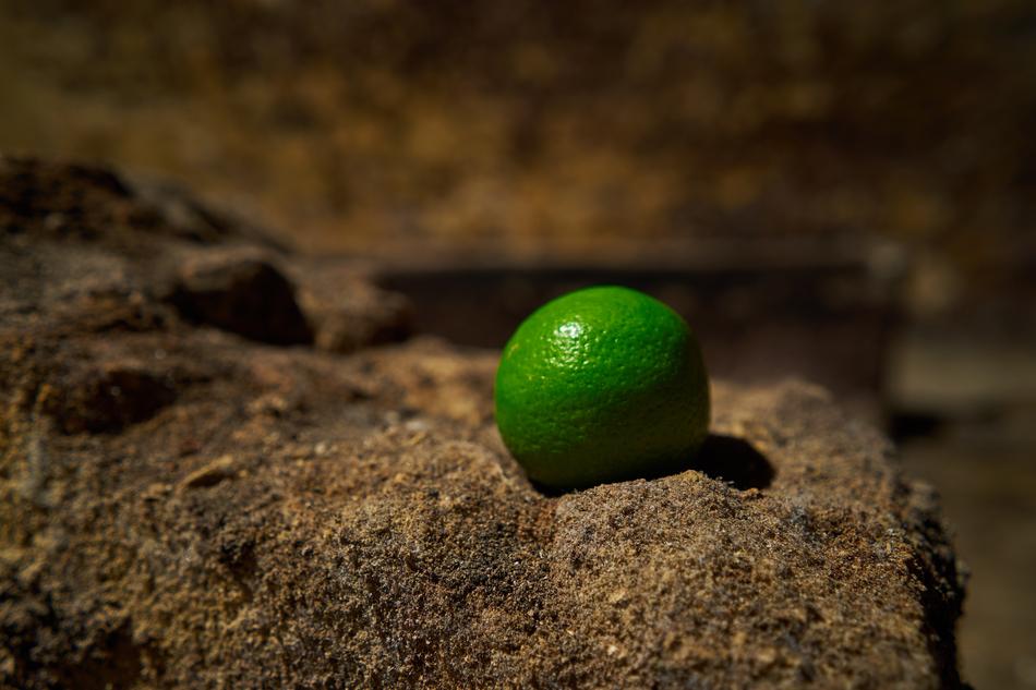 Close-up of the beautiful, shiny, green lime, on the stone in light
