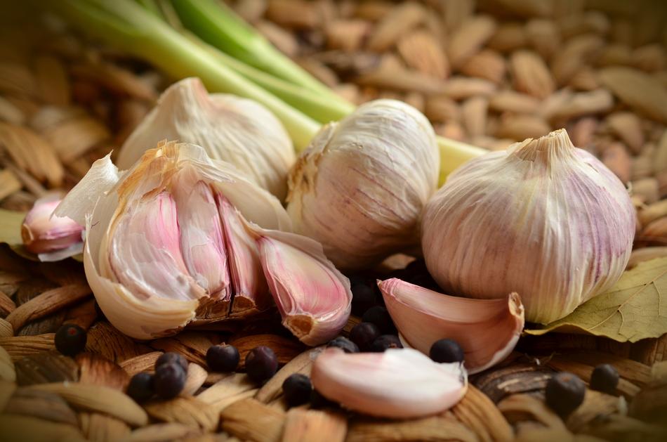 Close-up of the colorful garlic tubers in light