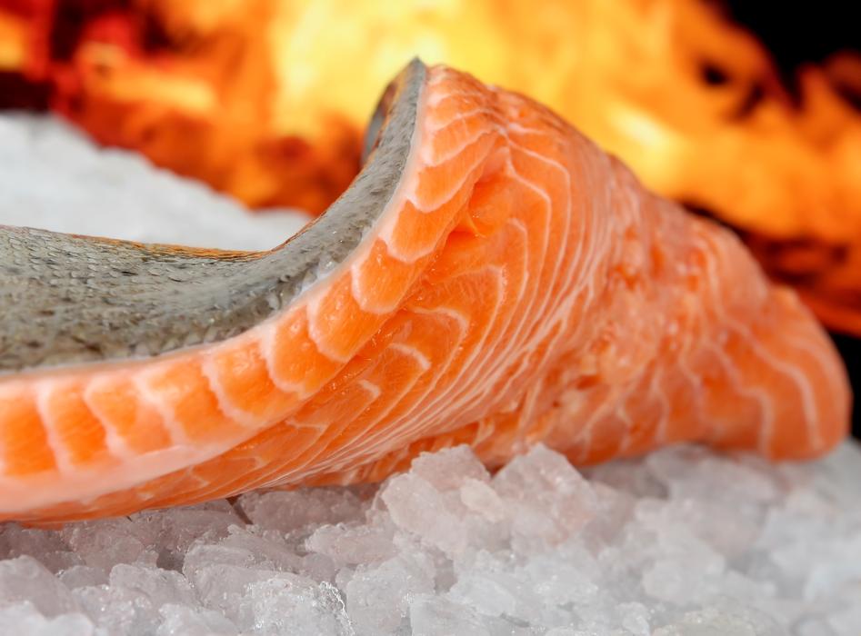 fresh salmon on fire background