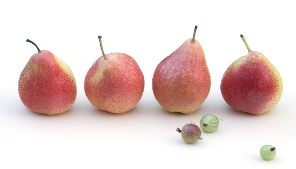 Beautiful and colorful, ripe pears and gooseberries with the shadows on white surface