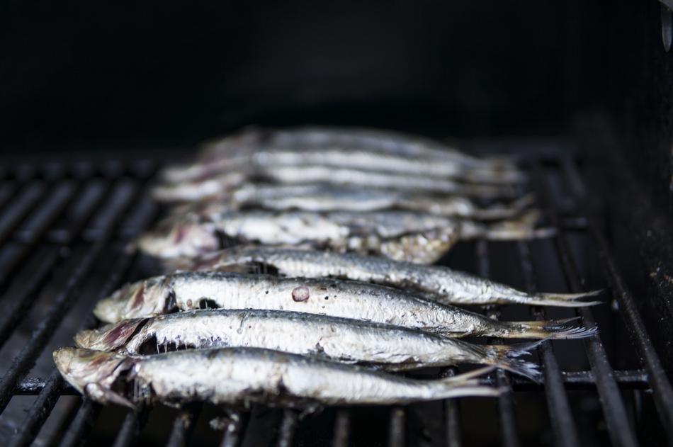 Sardines fishes Seafood Grilling