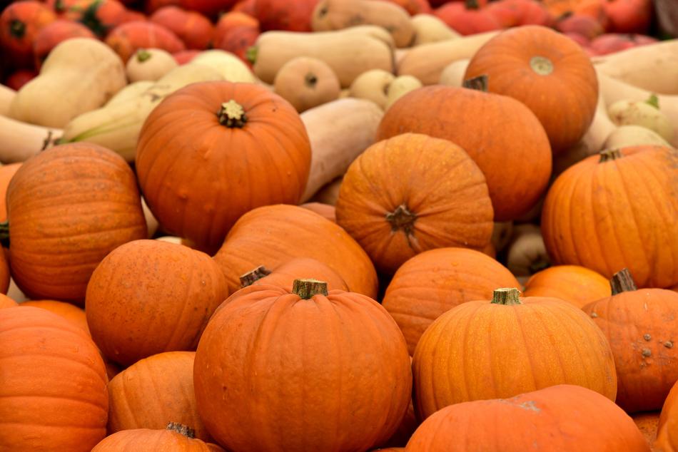 autumn Pumpkin at Market Stall