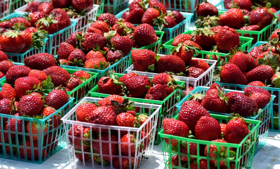 ripe strawberries in containers on the market