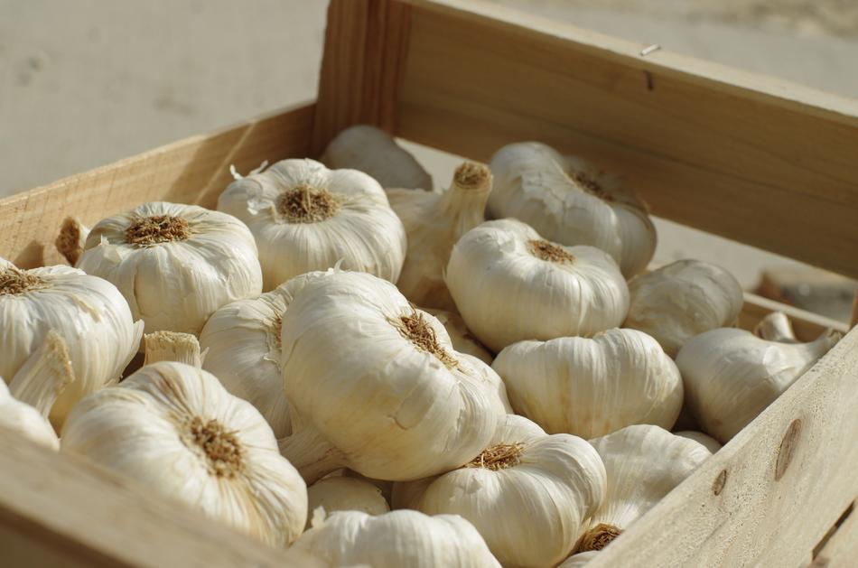 Garlic Food Vegetables
