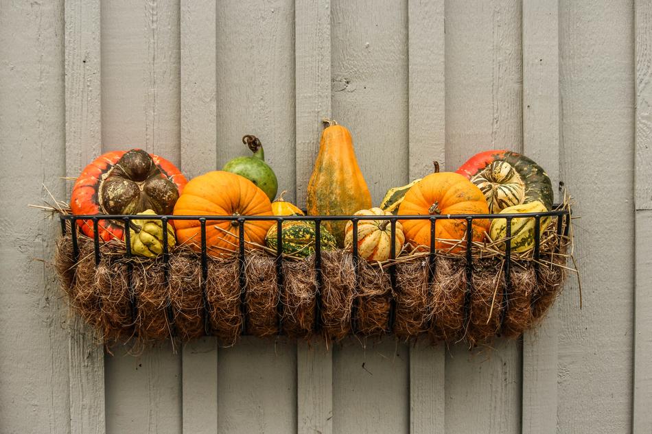 metal basket with hay and pumpkin