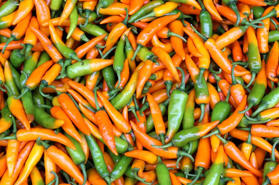 Chilli Rai peppers on Farmland